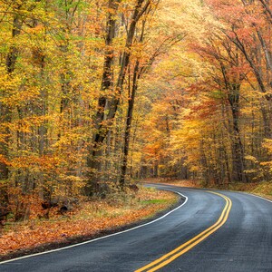 Nature Photography / Autumn Scene /  Photography Print / Wall Art / Autumn  / Colorful Trees /  Curved Road with Fall Colors