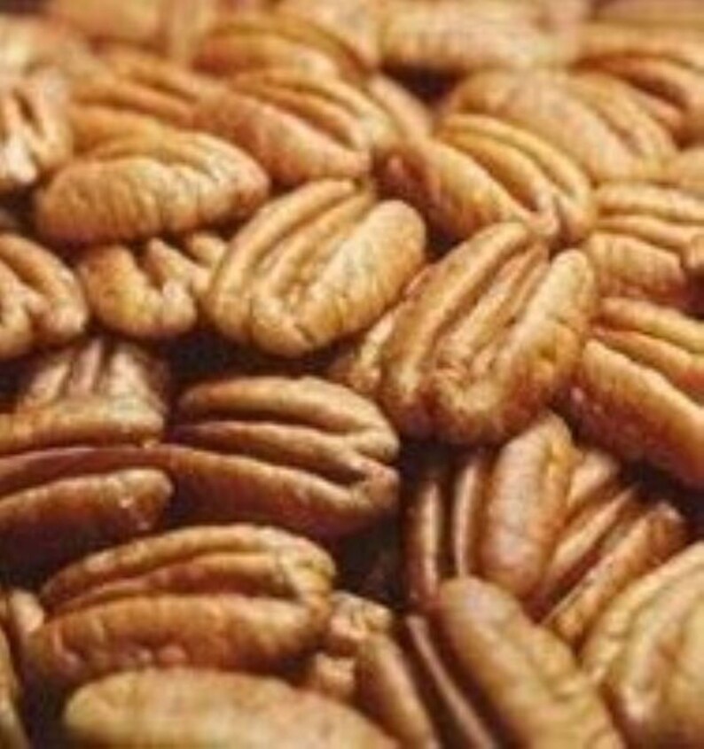 Pecan Halves Native Raw 2 lbs Etsy