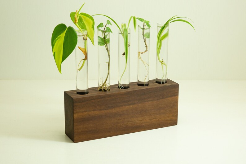 Propagation Station, Hydroponic Vase, Indoor Plant Stand, Single Propagation Station, Hydroponic Vase, Indoor Plant Stand, Single