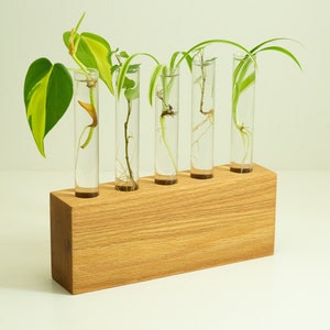 Propagation Station, Hydroponic Vase, Indoor Plant Stand, Single Stem Vase, gift for mom, gardener gift, plant lover gift