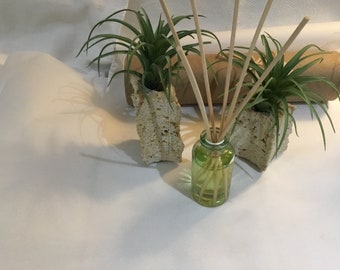 Diffusers, scented oil,