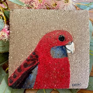 May include: A hand-painted tile depicting a red-capped parrot with black and blue markings. The tile is made from a rough, textured material and has a brown background. The artist's signature, "COOMBS", is visible in the bottom right corner.