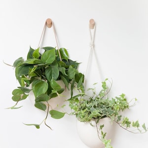 Two Wall Plant Hanger, Wall Hook for Plants, Wooden Plant Hanger, Wall  Plant Hook, Hanging Planter, Hanging Plant Holder 