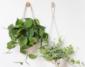 Wood Plant Hook for Wall |  | Solid Wood Wall Peg | Minimalist Plant Hanger | Handmade Wall Hook | Modern Plant Wall Decor - Custom Sizes