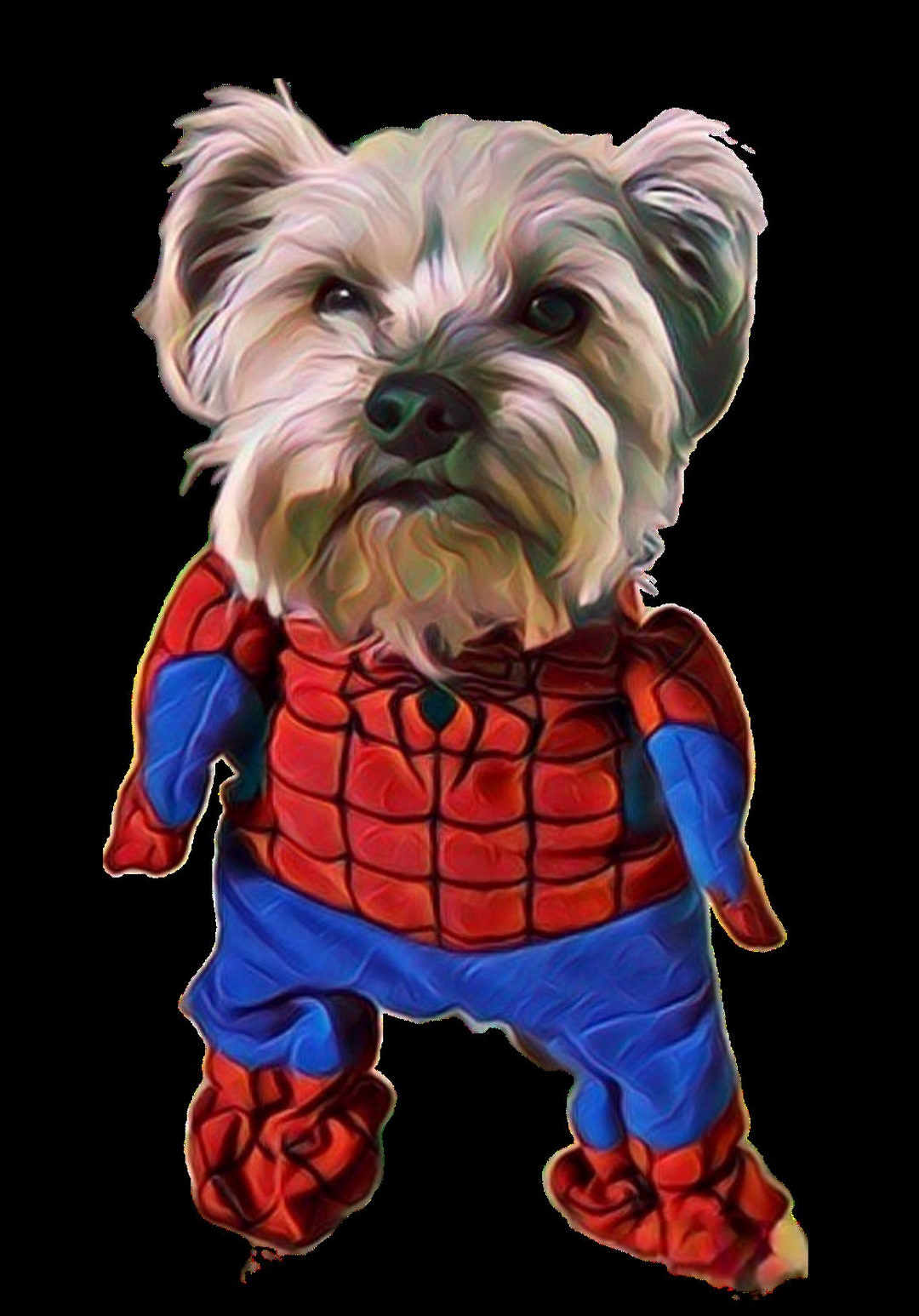 Dog Spiderman Costume Etsy