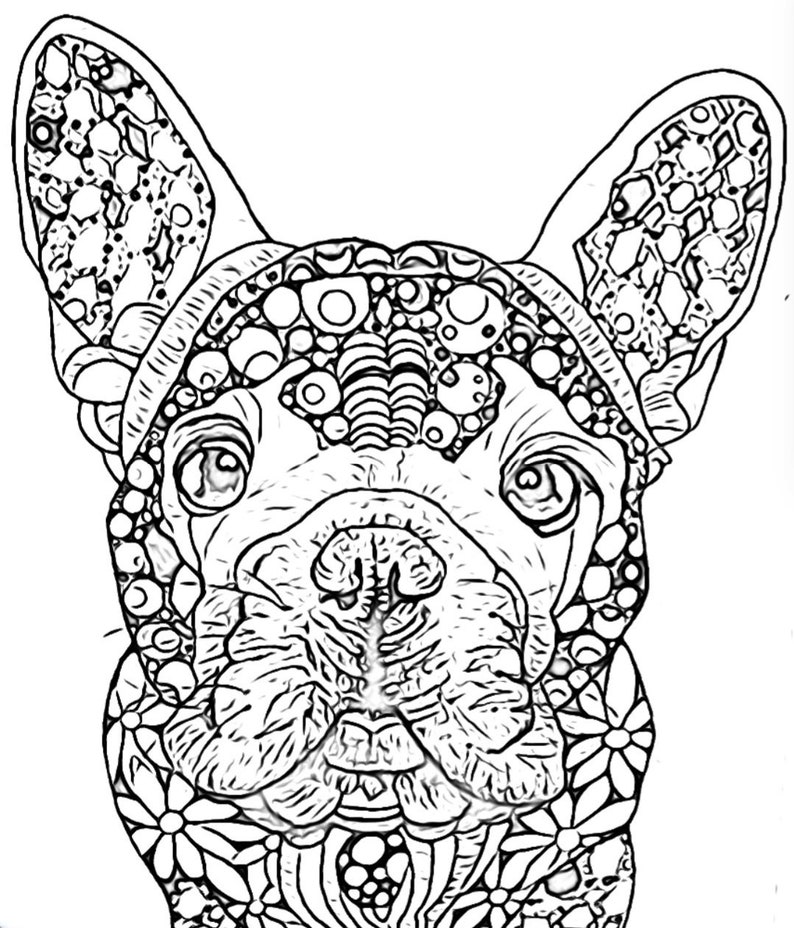 Coloring Page of Frenchie Dog - Etsy Canada