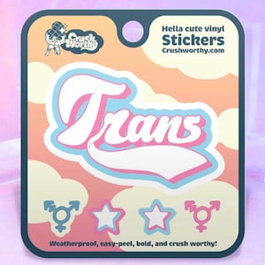 Adesivo Trans Varsity / Regalo in vinile LGBTQ+ Pride