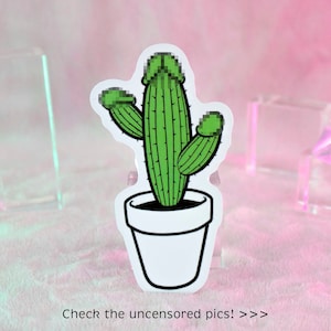 The Cocktus Semi-Gloss Vinyl Sticker, Cactus Penis Sticker, Dick Prick Art, Hard Peen Succulent Gift Mature