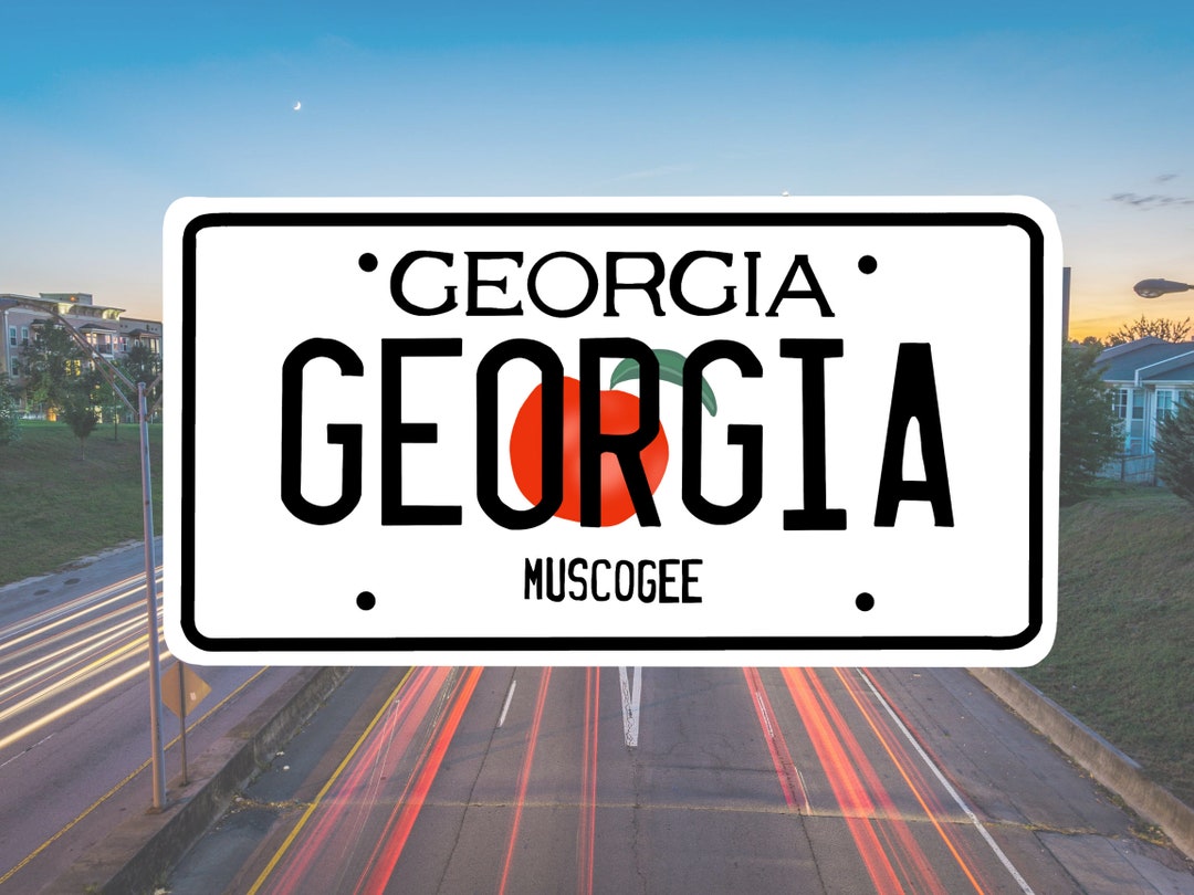 License Plate Vinyl Decal Sticker Laptop Etsy