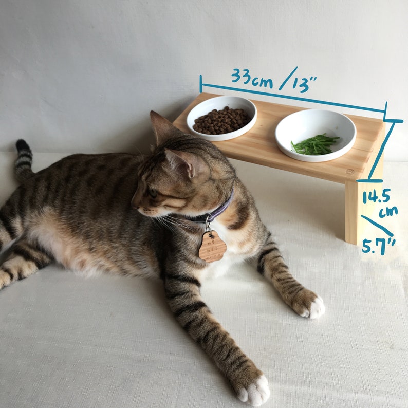 15.5cm height Dog bowls with stand Dine table Elegant tilt Etsy