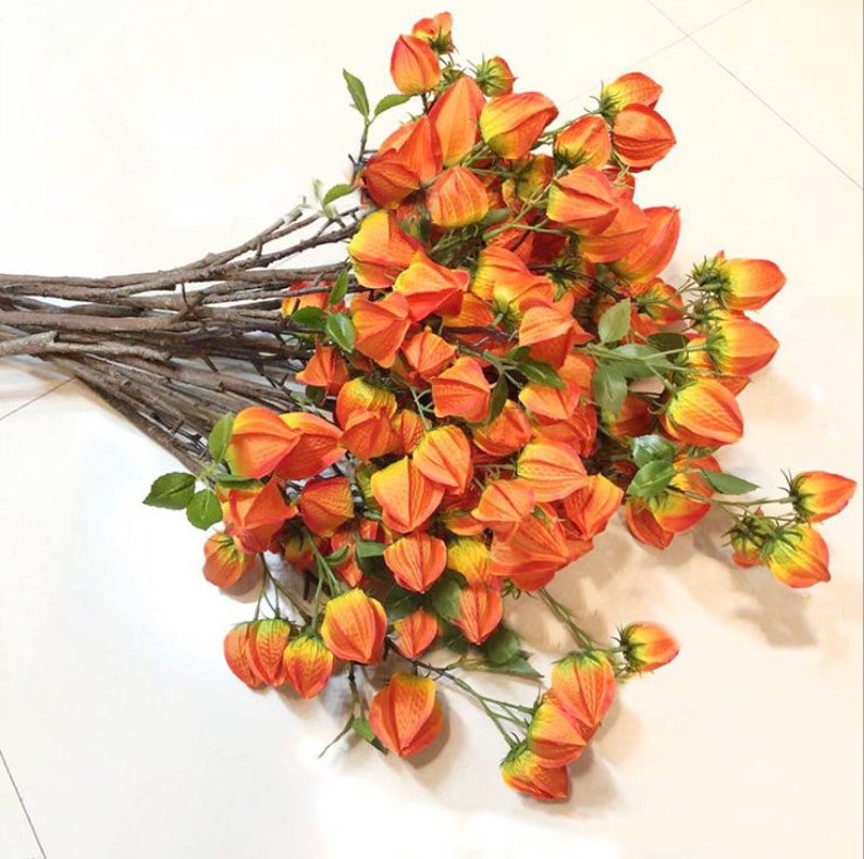 Orange Stem Artificial Flower Chinese Lantern Fruit Stem Wedding Decor Wall Hanging Plant Modern Decor Orange Flower Fall Flower Rustic Artificial Flowers Craft Supplies Tools Sirba Communication Com