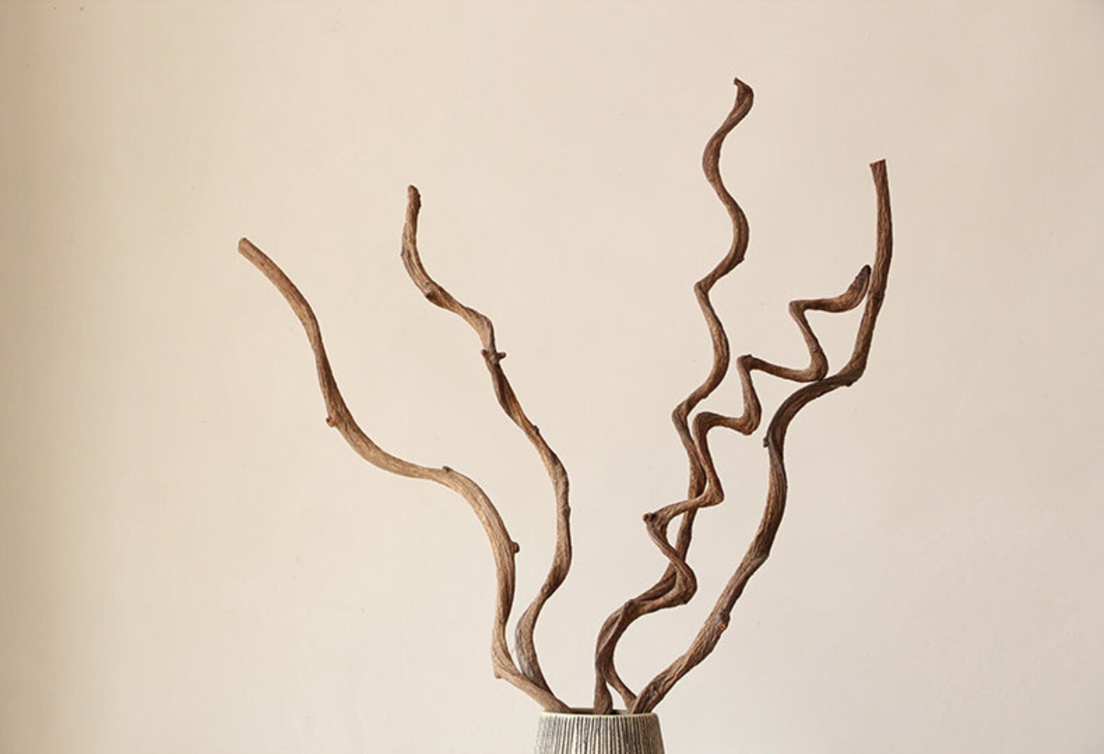 Dried Kuwa Branches Dried Branches Nature brown Branches Curly Etsy
