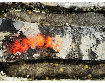 Kunst-Postkarte "Amore"