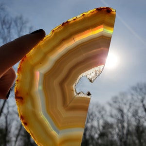 May include: A large, translucent agate slice with a rainbow iridescence. The agate is a light brown color with darker brown bands. The slice is held up to the sun, creating a bright, colorful glow.
