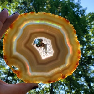 May include: A large, round, agate slice with a translucent center and multiple layers of brown, white, and orange banding. The agate is backlit, creating a rainbow effect.