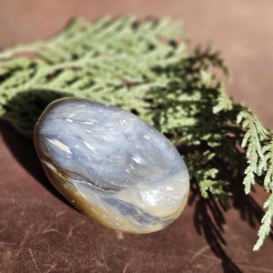 May include: A smooth, oval-shaped, polished stone with a blue, gray, and white swirling pattern. The stone is resting on a brown surface with green foliage.