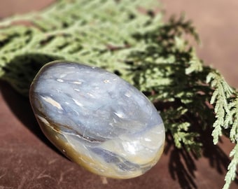 May include: A smooth, oval-shaped, polished stone with a blue, gray, and white swirling pattern. The stone is resting on a brown surface with green foliage.