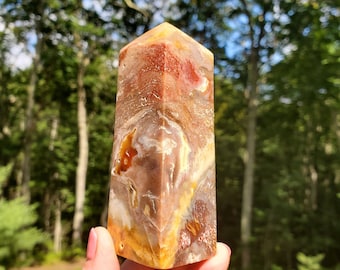 Indonesian Petrified Wood Towers. Fossilized Wood. Meditation tools. Grounding Crystal. Decor.