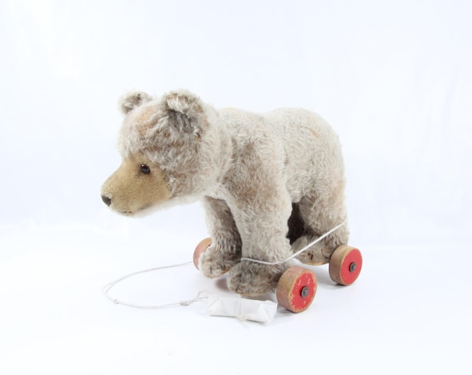 Rare Steiff Button Bear, Vintage Toy, Young Bear on Wheels, 1960s Pull-Along Toy, Teddy Bear, Mohair Masked Bear