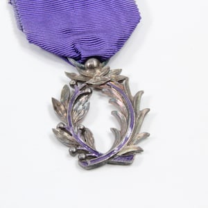 French  Academics Medal | War Memorabilia | Des Palmes Academiques | Collectible Medal | Gift for Militaria Collectors