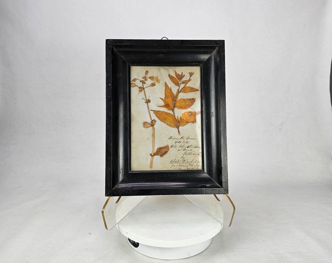 Antique Framed Norwegian Flowers from 1862 - Unique Wall Art from 19th Century Norway