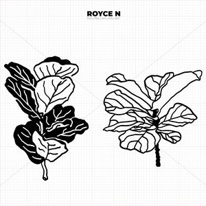 May include: Two black and white line drawings of fiddle leaf fig plants. The plants are drawn in a simple, stylized way.