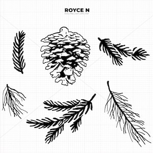 以下が含まれることがあります： 松ぼっくりと松の枝の白黒の線画イラスト。松ぼっくりは画像の中央にあり、松の枝はそれを囲んでいます。