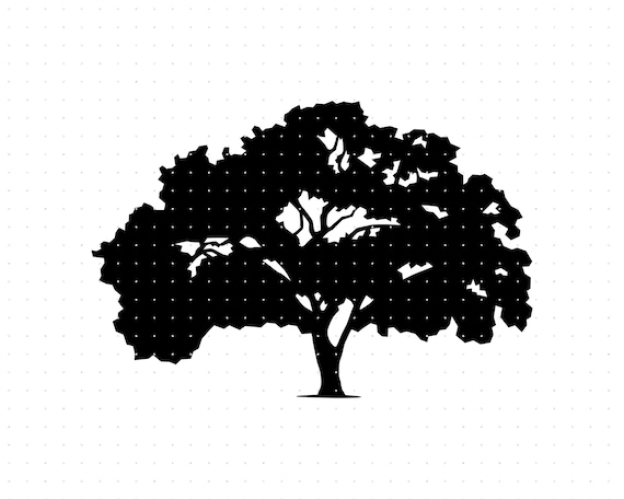 Elm Tree Svg Elm Tree Clipart Elm Tree Png Elm Tree Dxf - Etsy