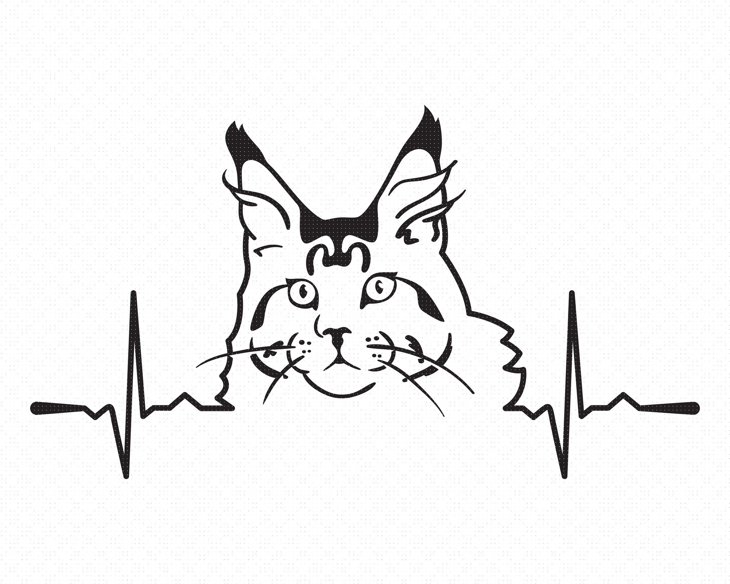Maine Coon Heartbeat Svg, Coon Cat Clipart, Cat Breed Heartbeat Png, Maine  Cat Dxf Logo, Vector Eps Cut Files for Cricut and Silhouette Use - Etsy, image size:2500x2000