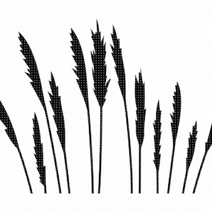 calcomanía svg de hierba de pampas, imágenes prediseñadas de hierba al aire libre, flores secas png, logotipo dxf, archivos de corte eps vectoriales para uso cricut y silueta