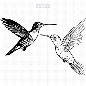 colibrí svg, imágenes prediseñadas de colibrí, colibrí png, colibrí dxf, vector de colibrí, eps, archivo de corte svg para cricut, uso comercial svg