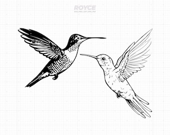 Hummingbird Vector (svg, png, dxf, eps Cut Files - Digital Download)