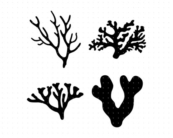 Corals Svg Coral Clipart Underwater Png Sea Coral Dxf Logo | Etsy Canada