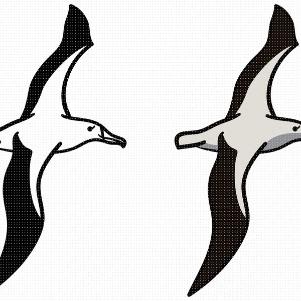 Colored albatross svg, cute bird clipart, hand drawn png, dxf for logo, eps cut files for cricut and silhouette use