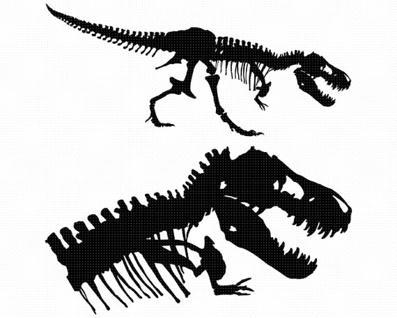 Dinossauro Esqueleto Tyrannosaurus Rex Ossos Silhuetas Contorno Contorno  Linha Ícone Preto Cor Vector Ilustração Imagem Fino Estilo Plano Simples  Royalty Free SVG, Cliparts, Vetores, e Ilustrações Stock. Image 181970990