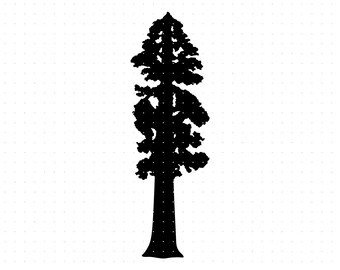 giant sequoia tree svg, giant sequoia tree clipart, giant sequoia tree png, dxf logo, vector eps cut files for cricut and silhouette use