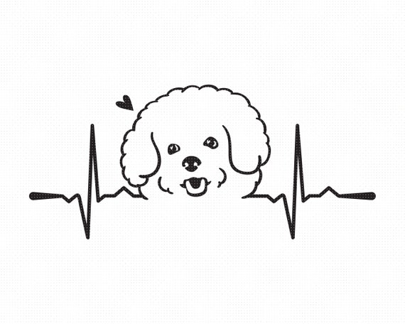 Download Bichon Frise Svg Bichon Frise Heartbeat Clipart Dog Png Etsy