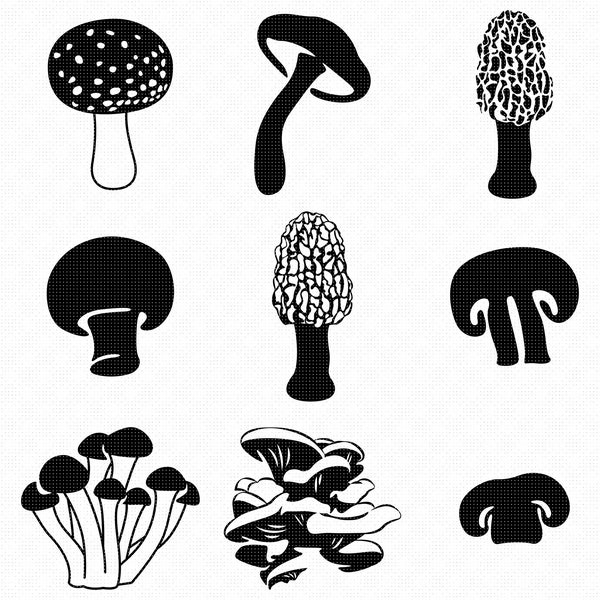 mushrooms svg, morel mushroom svg, clipart, mushroom svg, png, dxf logo, vector eps cut files for cricut and silhouette use