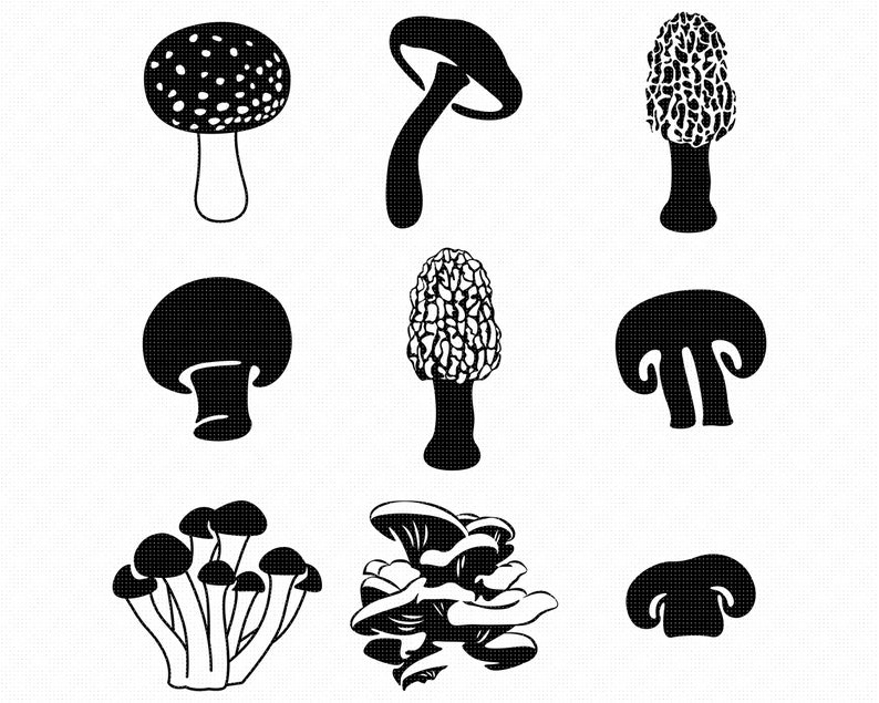 Mushrooms svg morel mushroom svg clipart mushroom svg png | Etsy
