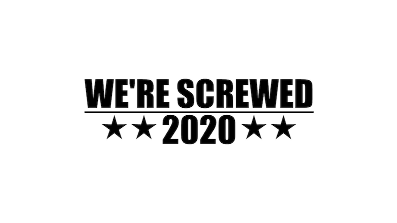 We're Screwed 2020 Decal image 0