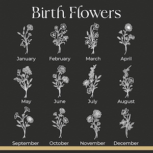 May include: A black and white illustration of birth flowers for each month of the year. January: Carnation, February: Violet, March: Daffodil, April: Daisy, May: Lily of the Valley, June: Rose, July: Larkspur, August: Poppy, September: Aster, October: Calendula, November: Chrysanthemum, December: Narcissus.