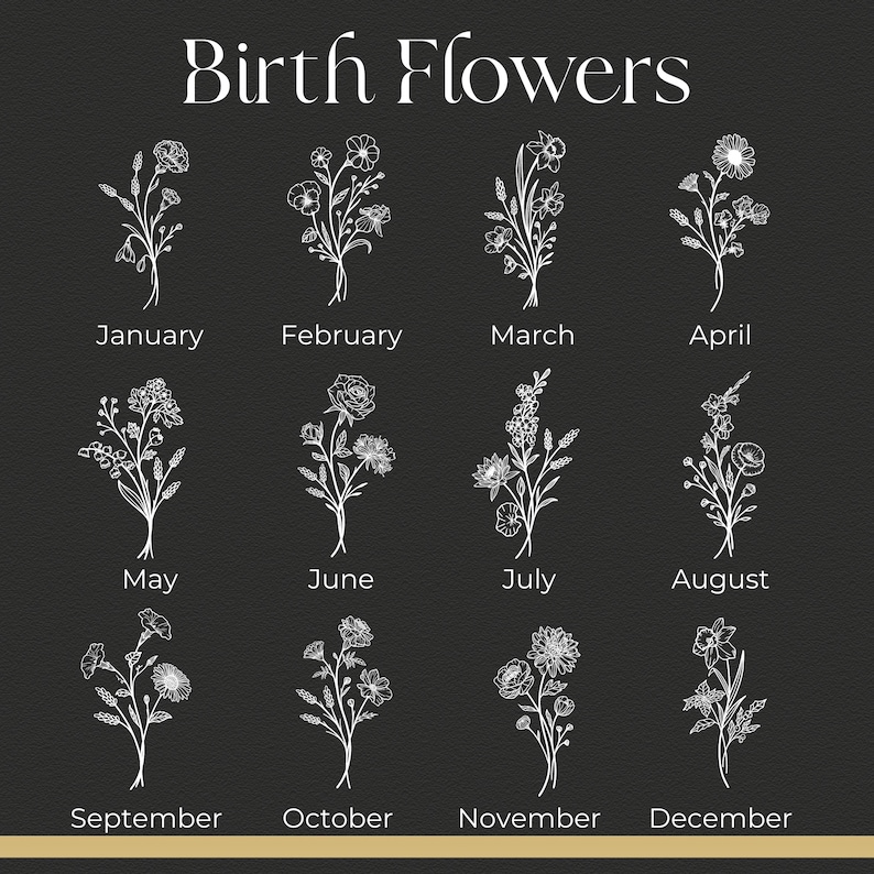 May include: A black and white illustration of birth flowers for each month of the year. January: Carnation, February: Violet, March: Daffodil, April: Daisy, May: Lily of the Valley, June: Rose, July: Larkspur, August: Poppy, September: Aster, October: Calendula, November: Chrysanthemum, December: Narcissus.