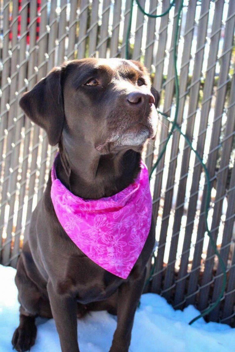 Spring Apparel Pink Dragonflies Dog Accessories Cat Bandana | Over the Collar Pet Accessories Dog Bandana