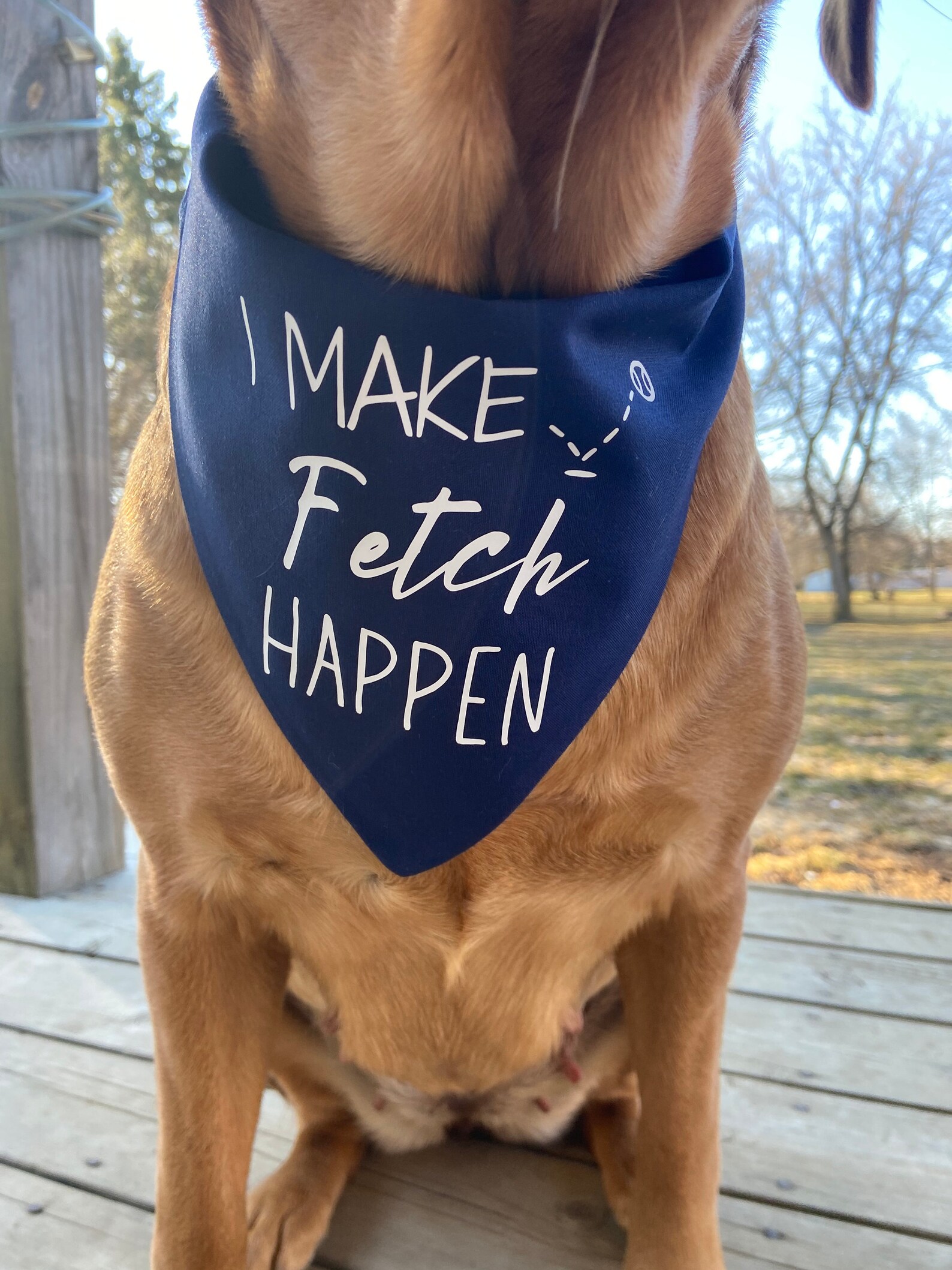 I Make Fetch Happen Dog Bandana Fun Sayings Mean Girls Etsy