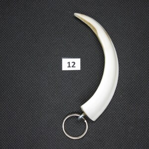 taxidermy Genuine wild boar teeth necklace tooth jewellery bracelet trophy