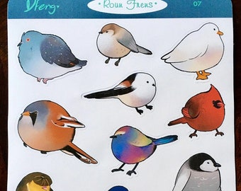 Roun Frens - round birds 2 - THE SEQUEL matte sticker set, cute bird animal gift stickers