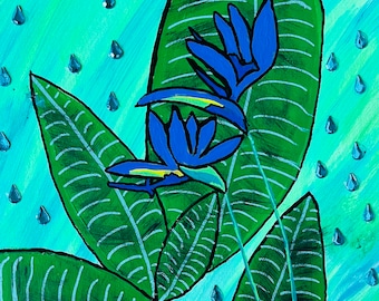 Hawaii Blume