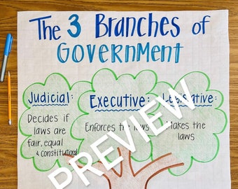 The 3 Branches of Government Anchor Chart
