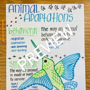 Ankerkaart voor dierenaanpassingen