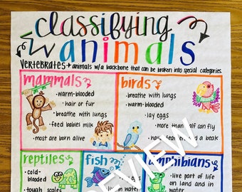 Animal Classification Anchor Chart